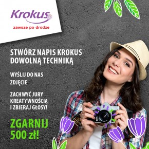 Krokus kwitnie również latem!