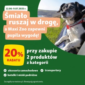 Wakacje z pupilem – jak przygotować się do podróży z psem lub kotem?