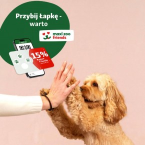 Jak stworzyć ogród przyjazny zwierzętom?