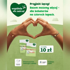 Przyjaźń Łączy – Wspólnie dla Zwierząt