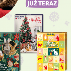 Święta coraz bliżej!