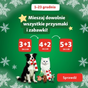 Świąteczne upominki dla pupili – co w tym roku króluje pod choinką?