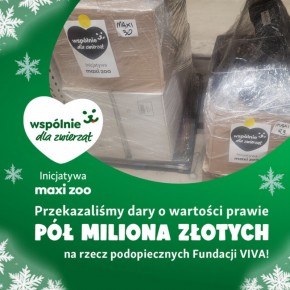 Magia Świąt to nie tylko prezenty pod choinką domach, ale pamięć o tych, którzy tego domu wciąż szukają.