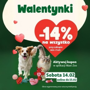 Miłość biega na czterech łapach. Dlaczego zabawa i wspólny czas są najlepszym prezentem dla pupila? 