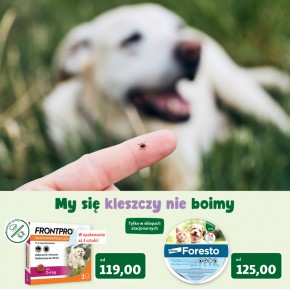 Wiosna bez kleszczy - jak zabezpieczyć pupila?