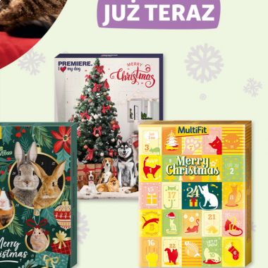 Święta coraz bliżej!