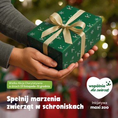 Spełnij marzenia zwierząt w schroniskach!