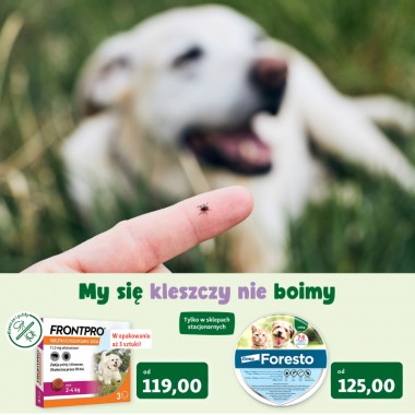 Wiosna bez kleszczy - jak zabezpieczyć pupila?