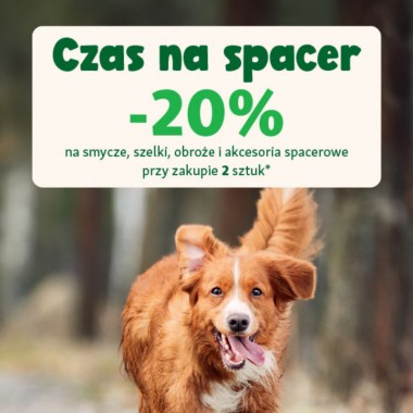 Czas na spacer
